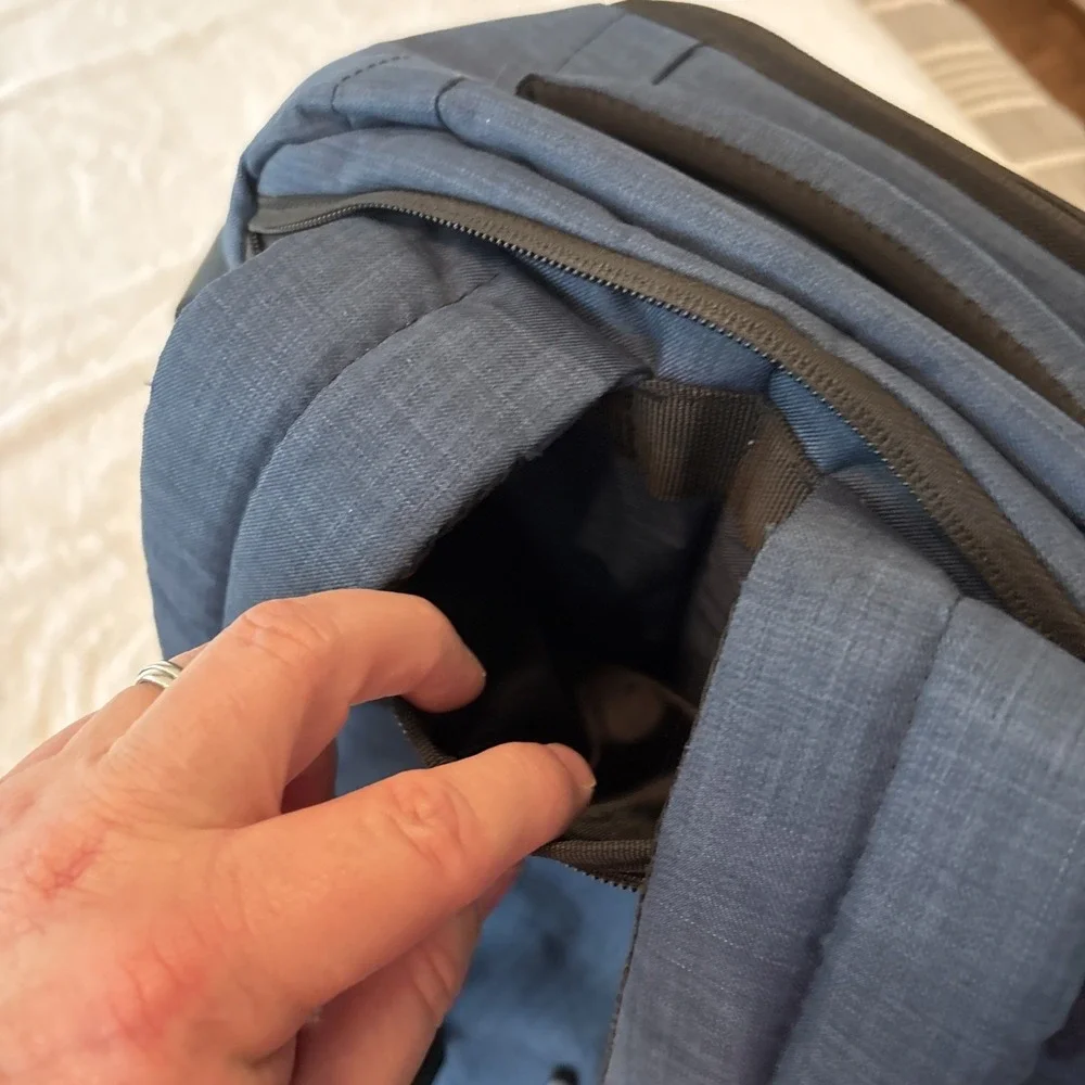 dinictis Travel Business Backpack